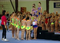 Jihlavský ježek1.jpg