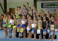 Jihlavský ježek3.jpg