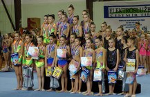 Jihlavský ježek3.jpg