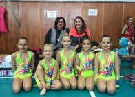 Vinohradský pohár.jpg