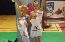 Pribinův pohár1.jpg