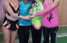 Veselská panenka 2014.png