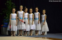 Gala2014-2.jpg