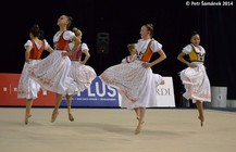 Gala2014-1.jpg