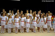Gala2014-14.jpg