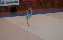 Žďár. sněženka6.jpg