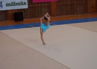 Žďár. sněženka6.jpg