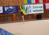 Žďár. sněženka2.jpg