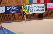 Žďár. sněženka2.jpg