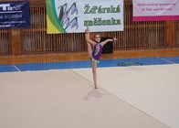 Žďár. sněženka1.jpg