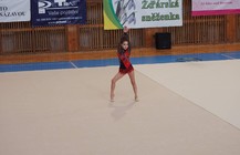 Žďár. sněženka12.jpg