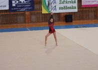 Žďár. sněženka12.jpg