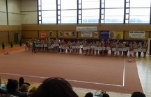 Milevský pohár.jpg