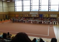 Milevský pohár.jpg