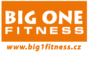 logo BIG ONE